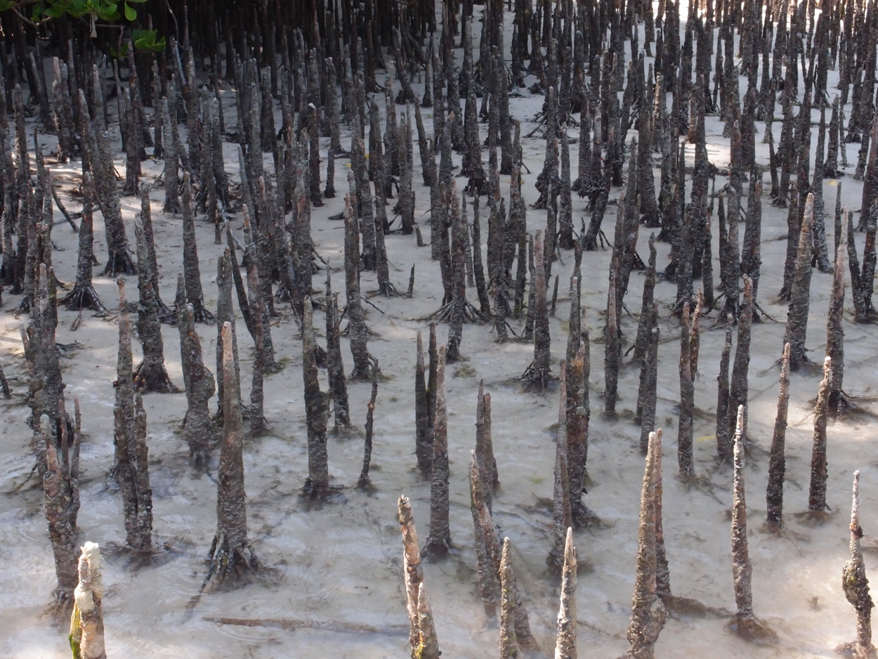 2015-10-07 Habitat des Lorbi (Foto)